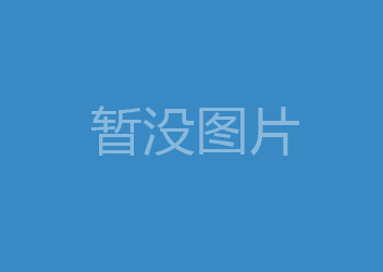 廈門電子口岸合作項目